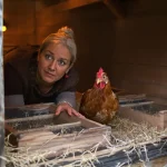Fini les œufs au quotidien : cette erreur de printemps empêche vos poules de pondre